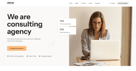 mega-menu-consultant-agency